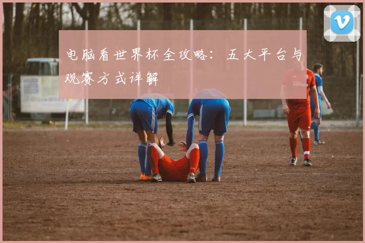 电脑看世界杯全攻略：五大平台与观赛方式详解