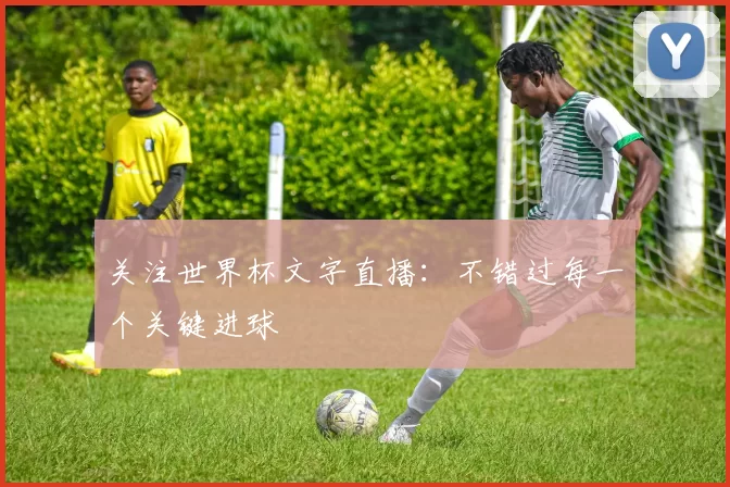 关注世界杯文字直播：不错过每一个关键进球