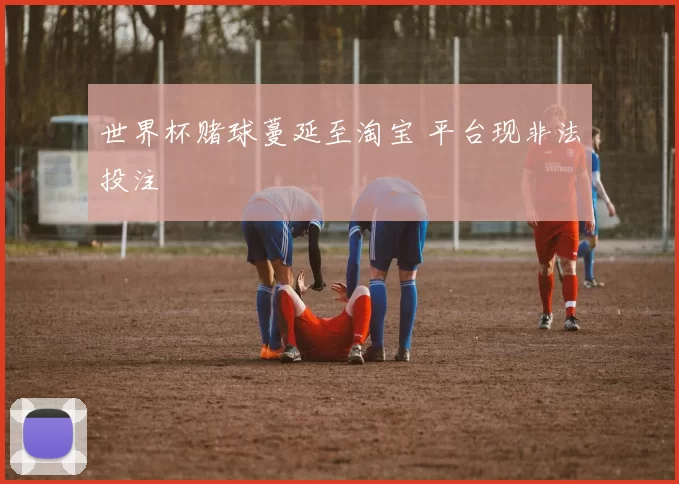 世界杯赌球蔓延至淘宝 平台现非法投注
