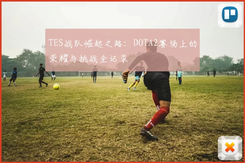 TES战队崛起之路:DOTA2赛场上的荣耀与挑战全记录