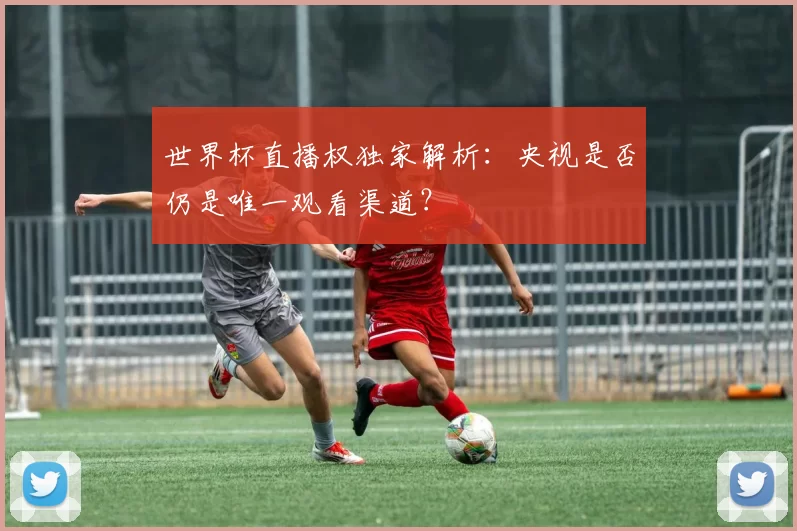 世界杯直播权独家解析:央视是否仍是唯一观看渠道?