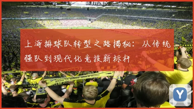 上海排球队转型之路揭秘:从传统强队到现代化竞技新标杆