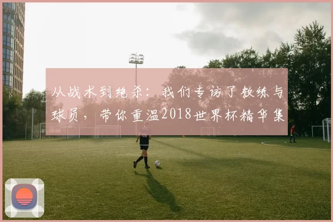 从战术到绝杀：我们专访了教练与球员，带你重温2018世界杯精华集锦