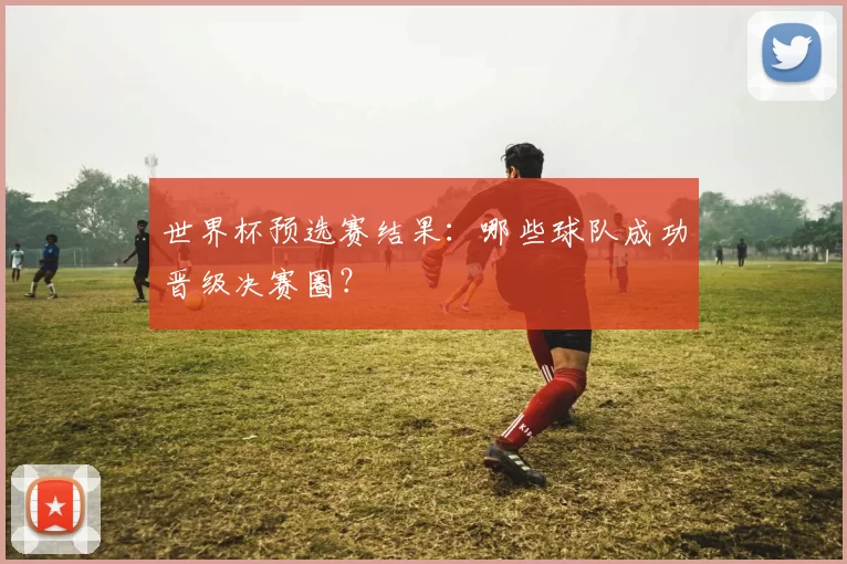 世界杯预选赛结果：哪些球队成功晋级决赛圈？