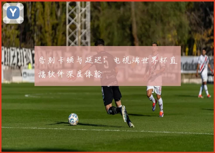 告别卡顿与延迟:电视端世界杯直播软件深度体验