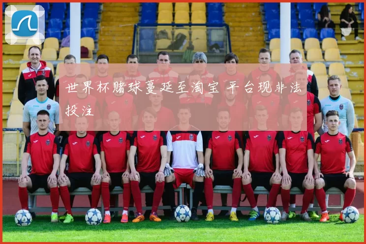 世界杯赌球蔓延至淘宝 平台现非法投注