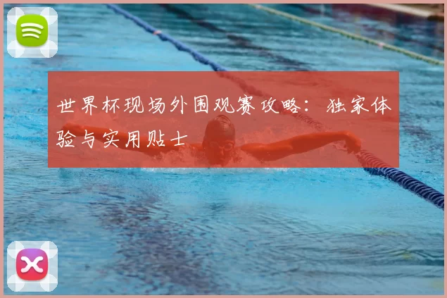 世界杯现场外围观赛攻略:独家体验与实用贴士